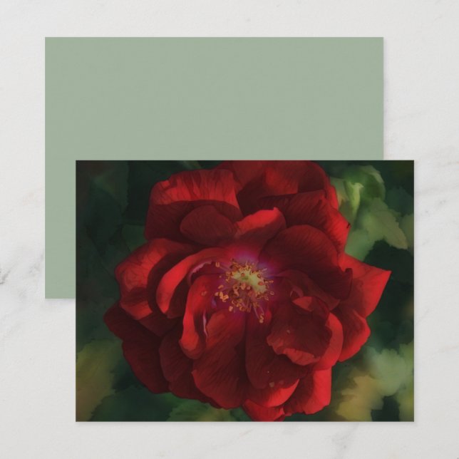 Red Rose Art Flower Floral Note Card Set (Front/Back)