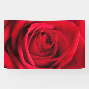 Red Rose Banner