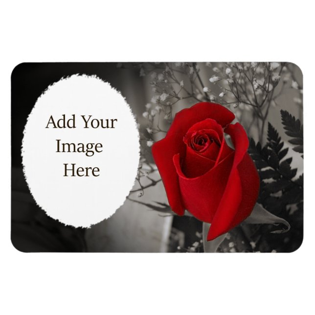 Red Rose Black and White Oval Frame Magnet (Horizontal)