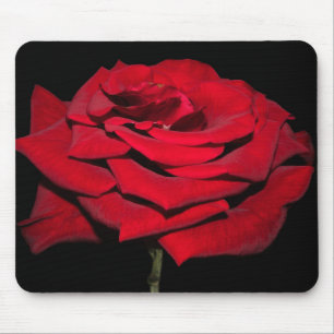 Red Rose - Black Mouse Mat