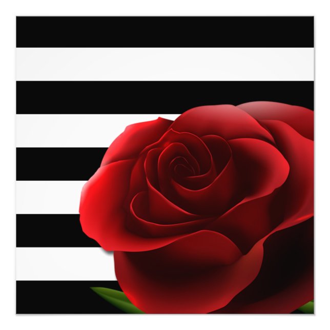 Red Rose & Black White Stripes Photo Print (Front)