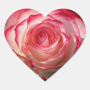 Red rose blossom heart sticker