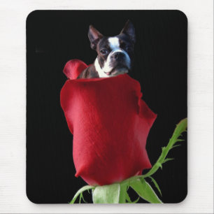 Red rose boston terrier mousepad