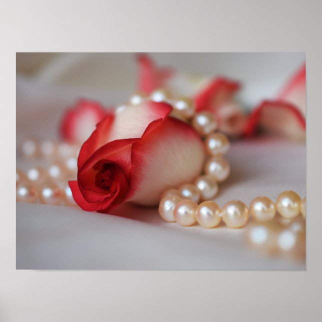 Red Rose Bud and Pearls  Poster (Front)