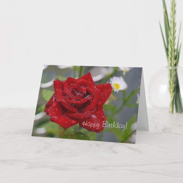 Red Rose Bud Card (Front)