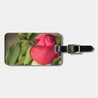 Red Rose Bud Luggage Tag