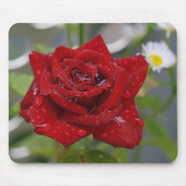 Red Rose Bud Mouse Mat (Front)