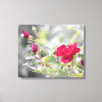Red Rose Bush Stretched Canvas Print