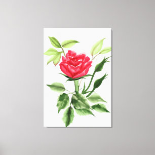 Red Rose Canvas Print