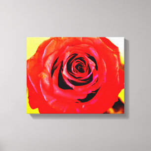Red Rose Canvas Print