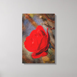Red Rose Canvas Print