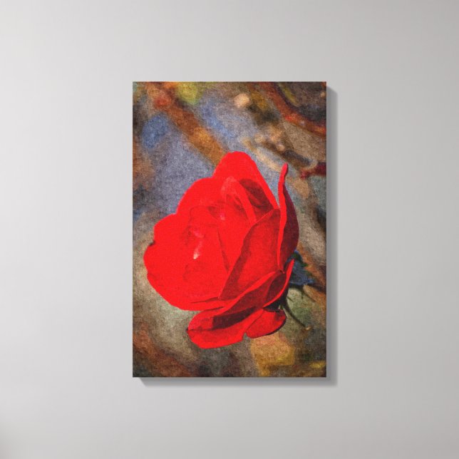 Red Rose Canvas Print (Front)