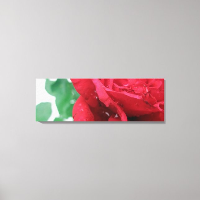 Red Rose Canvas Print (Front)