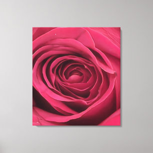 Red Rose Canvas Print