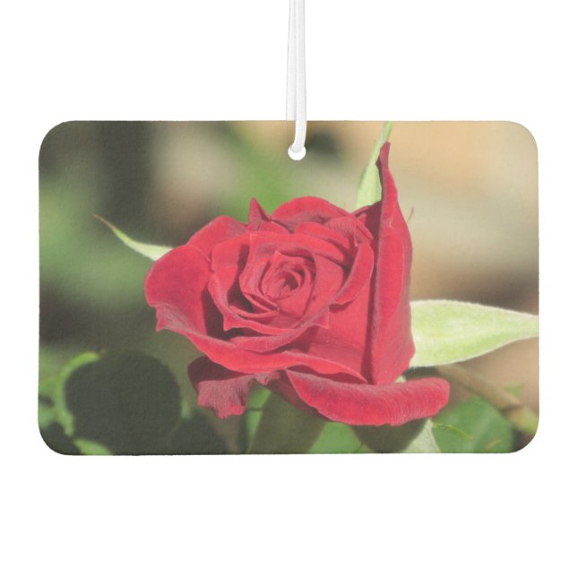 Red Rose Car Air Freshener (Front)