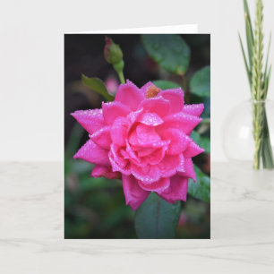 Red Rose, card