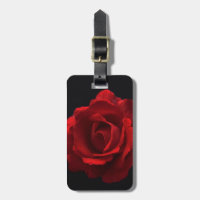 Red Rose cd ltcna