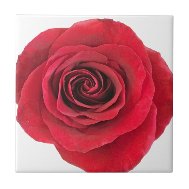 Red Rose Ceramic Tile (Front)