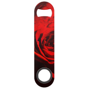 Red Rose Close Up