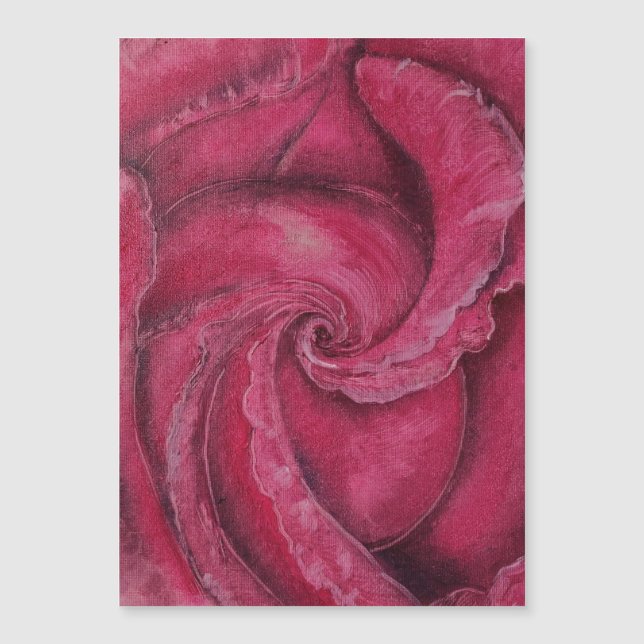 Red rose close-up (Front)