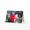 Red Rose close up Birthday CARD