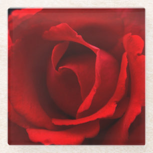 Red Rose coastercn Glass Coaster