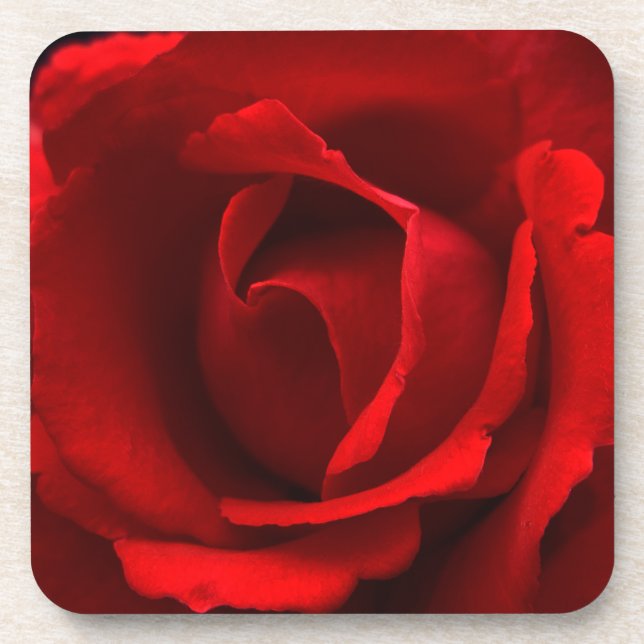 Red Rose coastercnm Coaster (Front)