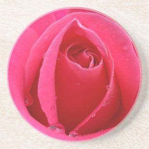 Red Rose Coasters Pink Rose Gifts Keepsake Decor