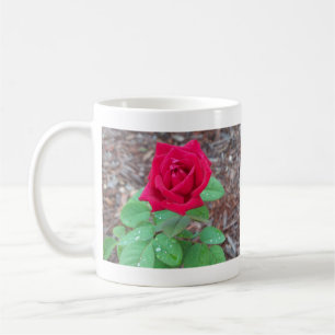 Red Rose Coffee Mug