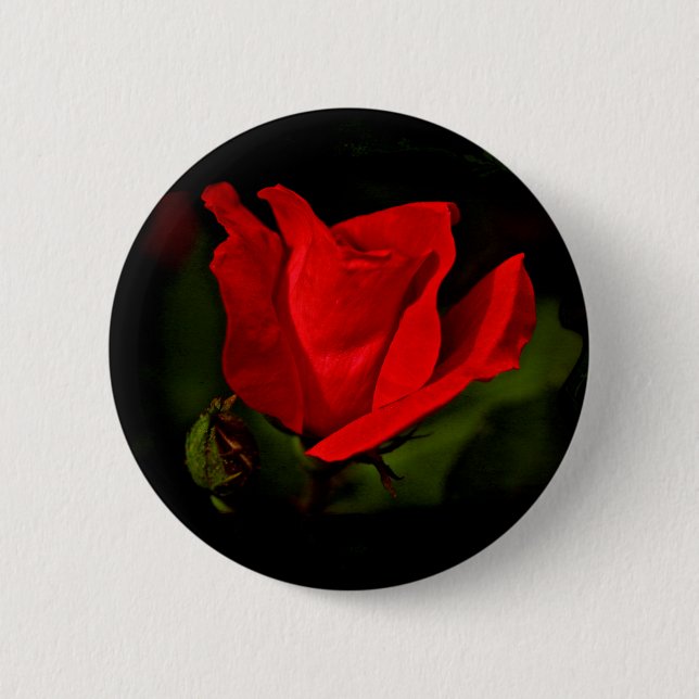 Red Rose - Dark Passion 6 Cm Round Badge (Front)