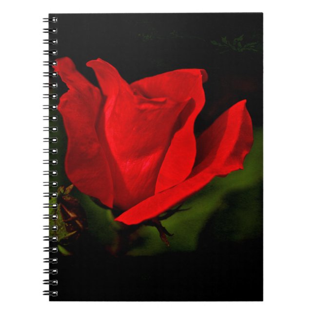 Red Rose - Dark Passion Notebook (Front)