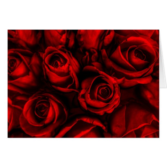 Red Rose Elegance (Front Horizontal)