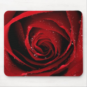 Red Rose Floral Flower Rose Petals Blossoms Dew Mouse Mat