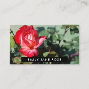 Red Rose, Floristry Business Card
