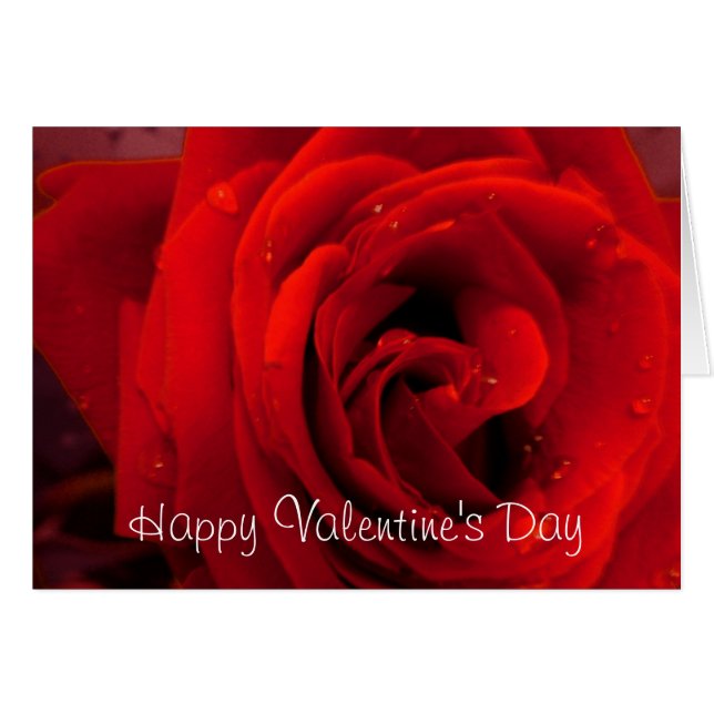 Red rose flower (Front Horizontal)