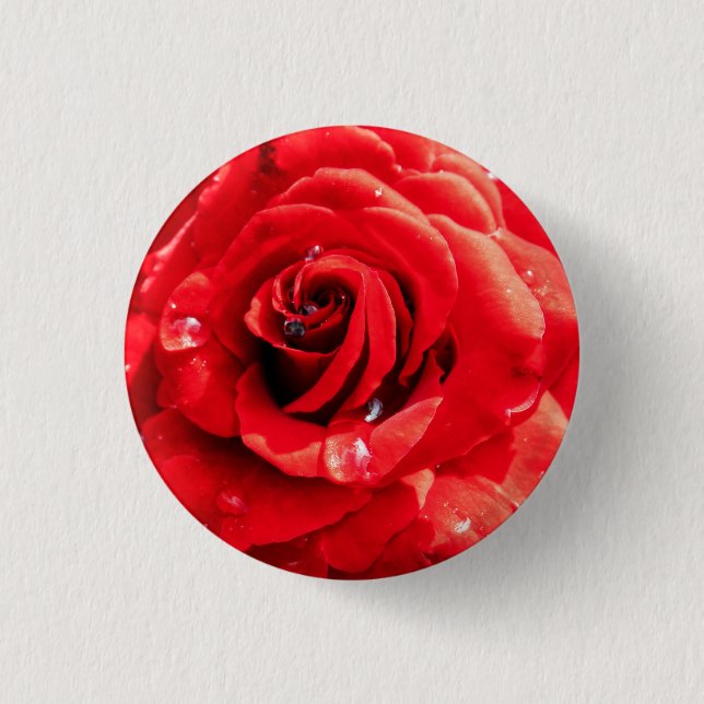 Red rose flower 3 cm round badge (Front)