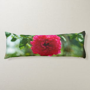 Red rose flower body cushion