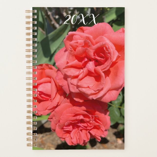 Red Rose Flower Cluster In Garden Photograph Planner (Front)