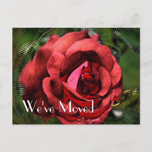 Red Rose Flower Design New Address Announcement Postcard (Front)