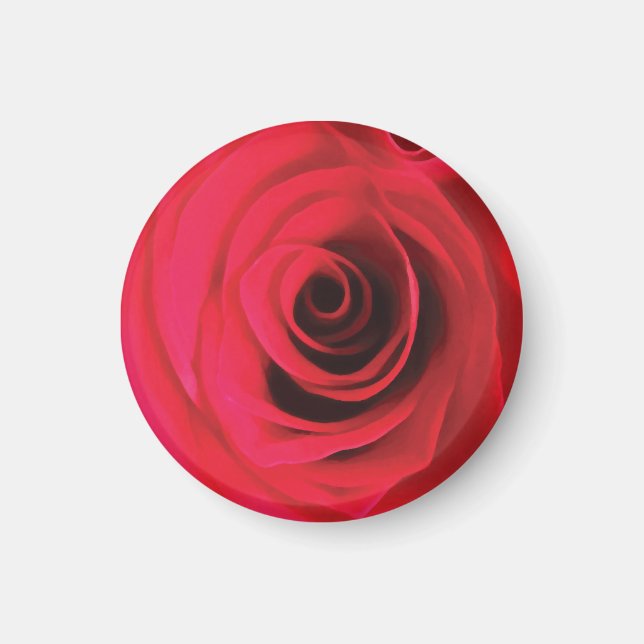 Red rose flower detail magnet (Front)