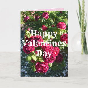 Red Rose Flower Floral Vintage Roses Valentines Card