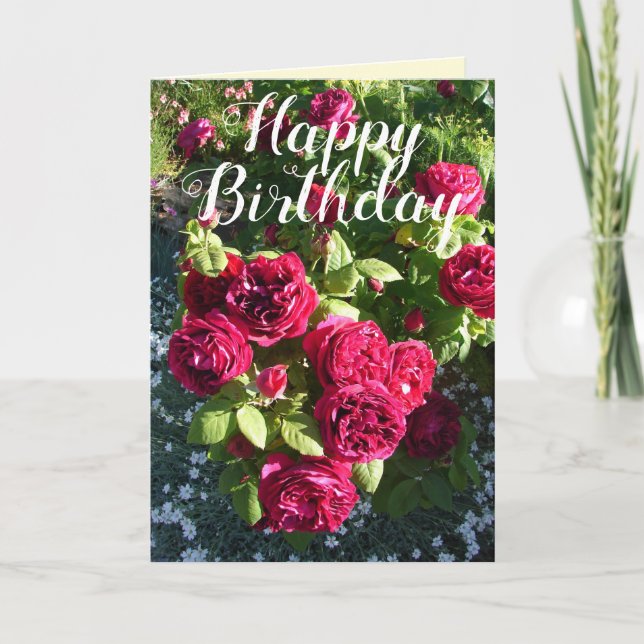 Red Rose Flower Garden floral Roses Birthday Card (Front)