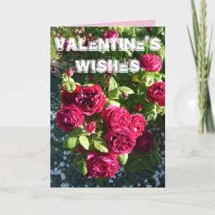 Red Rose Flower Garden floral Valentines Day Card