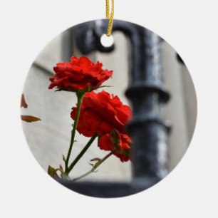 Red Rose Flower Garden Gate New York Photography Ceramic Tree Decoration