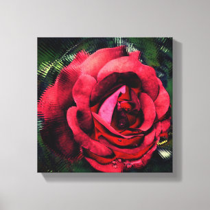 Red Rose Flower In Bloom Abstract Canvas Print