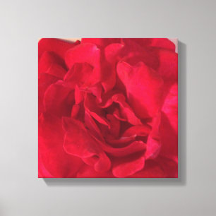 Red Rose Flower Photo Closeup Canvas Print