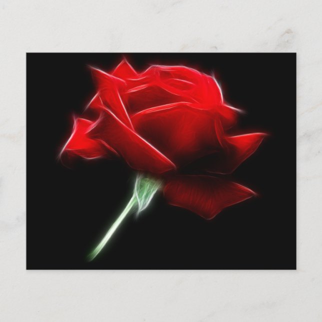 Red Rose Flower Plant (Front)