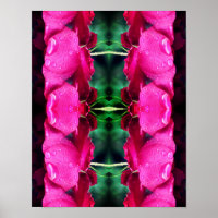 Red Rose Flowers And Raindrops Abstract 