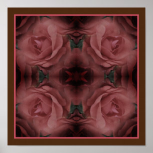 Red Rose Flowers Mirror Abstract Nature  Poster