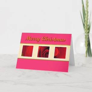 Red rose flowers pink Christmas card. Holiday Card